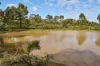 50 Gordons Drive, Heathcote, Vic 3523-Image