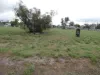 50 King St, Brim, Vic 3391-Image