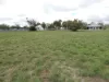 50 King St, Brim, Vic 3391-Image