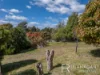 50 Lachlan Parade, Trevallyn, Tas 7250-Image