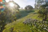 50 Nevens Road, Yandoit Hills, Vic 3461