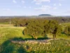 50 Nevens Road, Yandoit Hills, Vic 3461-Image
