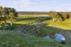 50 Nevens Road, Yandoit Hills, Vic 3461-Image