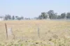 50 Oban Street, Guyra, NSW 2365