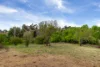 50 Panbula Street, Candelo, NSW 2550-Image