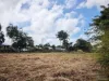 50. Pine Street, Goondi Bend, Qld 4860-Image