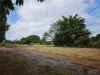 50. Pine Street, Goondi Bend, Qld 4860-Image