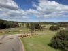 50 The Ridge Road, Fingal, Vic 3939-Image