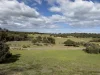 50 The Ridge Road, Fingal, Vic 3939-Image