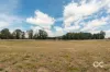 50 Witton Place, Orange, NSW 2800-Image