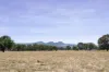 501 Dights Forest Road, Table Top, NSW 2640-Image