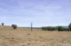 501 Dights Forest Road, Table Top, NSW 2640-Image