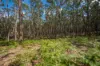 5055 Midland Highway, Daylesford, Vic 3460-Image