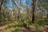 5055 Midland Highway, Daylesford, Vic 3460-Image