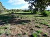 51 Bell St, Beulah, Vic 3395-Image