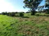 51 Bell St, Beulah, Vic 3395-Image
