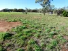 51 Bell St, Beulah, Vic 3395-Image