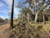 51 Hardwood Loop, Cowaramup, WA 6284-Image