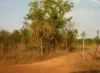 51 Kersley St, Southport, NT 0822-Image