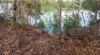 51 Kersley St, Southport, NT 0822-Image