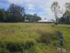 51 Witty Road, Moggill, Qld 4070-Image