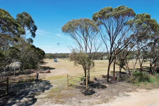 51 Wright Road, Katanning, WA 6317