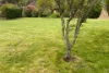 512 Simpson Street, Buninyong, Vic 3357-Image