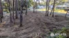 52 Channel St, Russell Island, Qld 4184-Image
