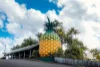 52 Henebery Road, Burnside, Qld 4560-Image