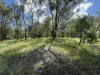 52 Raymont Drive, North, Glenore Grove, Qld 4342-Image
