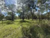 52 Raymont Drive, North, Glenore Grove, Qld 4342-Image