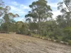 52 Tasman Highway, St Helens, Tas 7216-Image