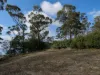 52 Tasman Highway, St Helens, Tas 7216-Image