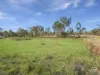52 Wyndham Road, Beecher, Qld 4680-Image