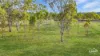 52 Wyndham Road, Beecher, Qld 4680-Image