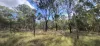 522 Wattle Camp Road, Wattle Camp, Qld 4615-Image