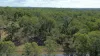 522 Wattle Camp Road, Wattle Camp, Qld 4615-Image