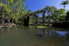 522B Petrie Creek Road, Rosemount, Qld 4560-Image
