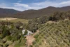 528 Redbank Mongans Road, Mongans Bridge, Vic 3691-Image