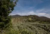 528 Redbank Mongans Road, Mongans Bridge, Vic 3691-Image