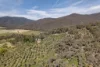 528 Redbank Mongans Road, Mongans Bridge, Vic 3691-Image