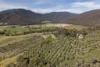 528 Redbank Mongans Road, Mongans Bridge, Vic 3691-Image