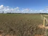 52A Schutt Road, Dublin, SA 5501