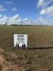 52A Schutt Road, Dublin, SA 5501-Image