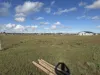 52A Schutt Road, Dublin, SA 5501-Image