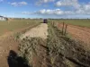 52A Schutt Road, Dublin, SA 5501-Image