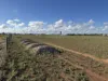 52A Schutt Road, Dublin, SA 5501-Image