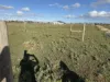 52A Schutt Road, Dublin, SA 5501-Image