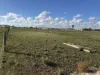 52B Schutt Road, Dublin, SA 5501