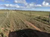 52B Schutt Road, Dublin, SA 5501-Image